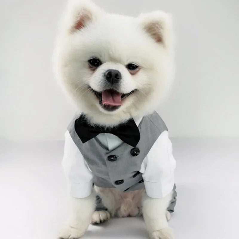 Dog Tuxedo Suit