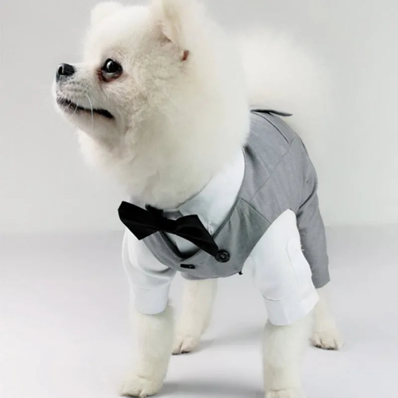 Dog Tuxedo Suit