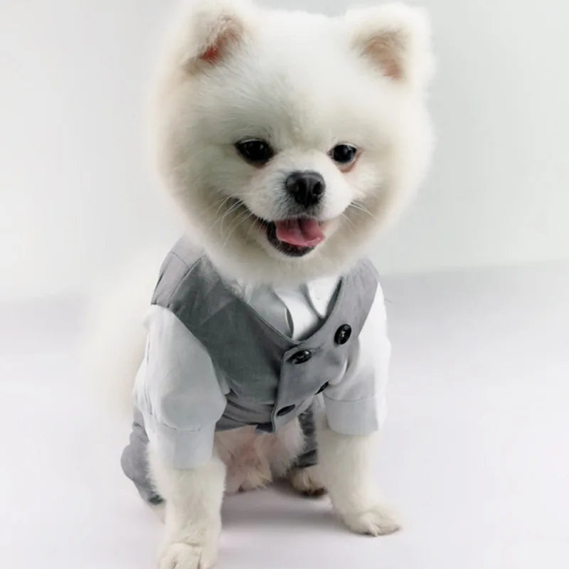 Dog Tuxedo Suit