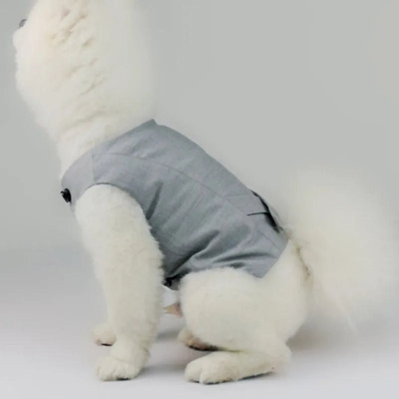 Dog Tuxedo Suit