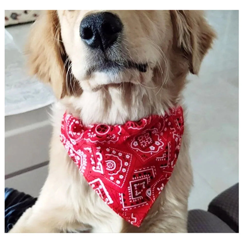 Bandana Collar Scarf