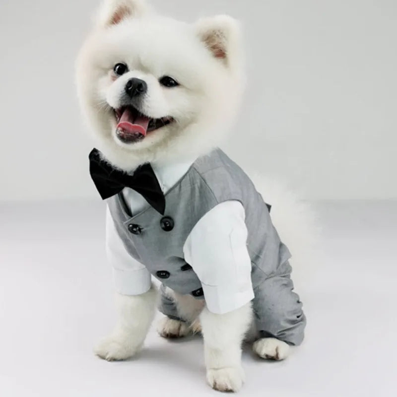 Dog Tuxedo Suit