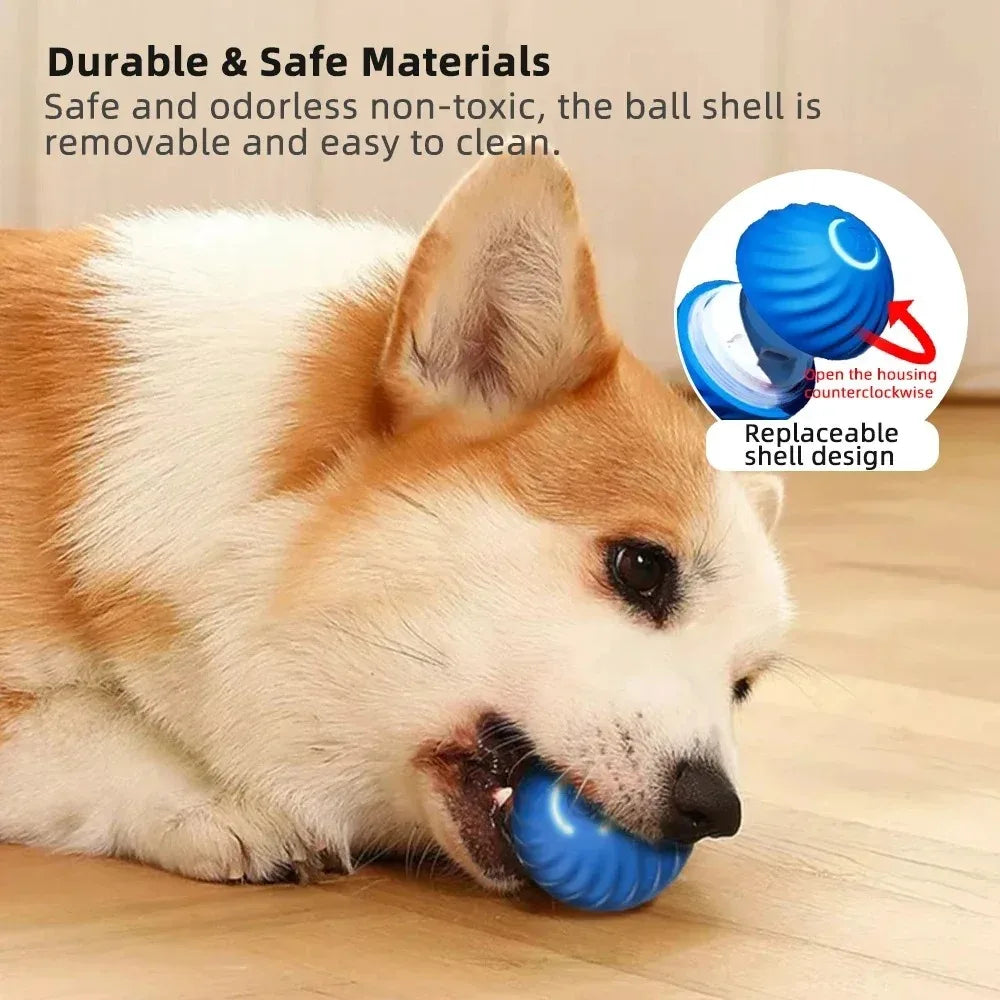 Interactive Smart Moving  Jumping Dog Ball