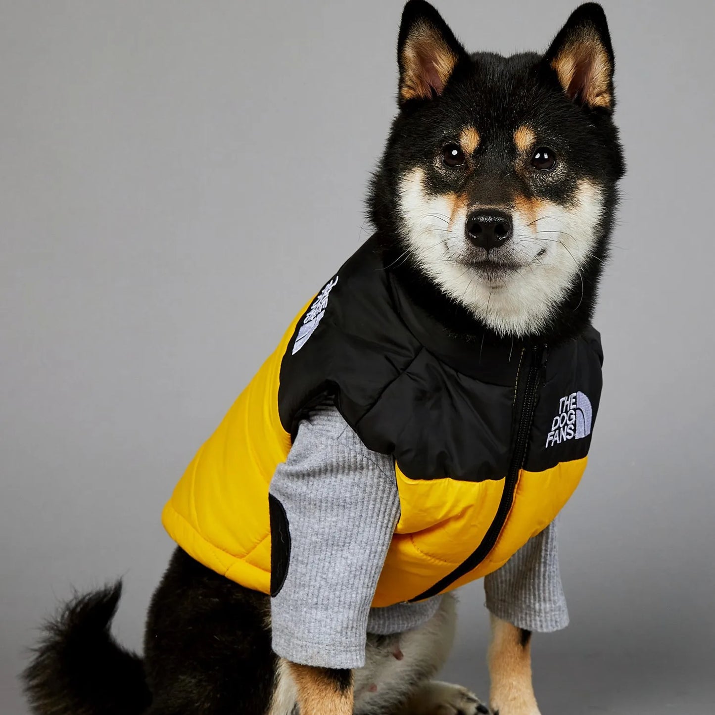 The Dog Fans Vest