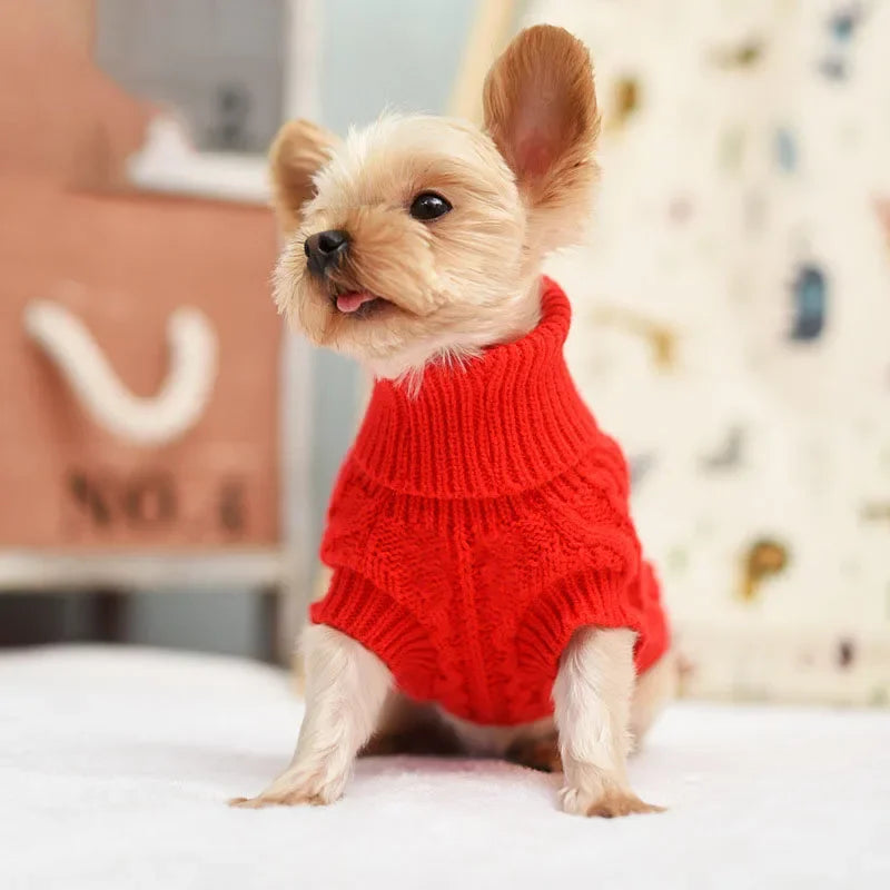 Knitted dog sweater