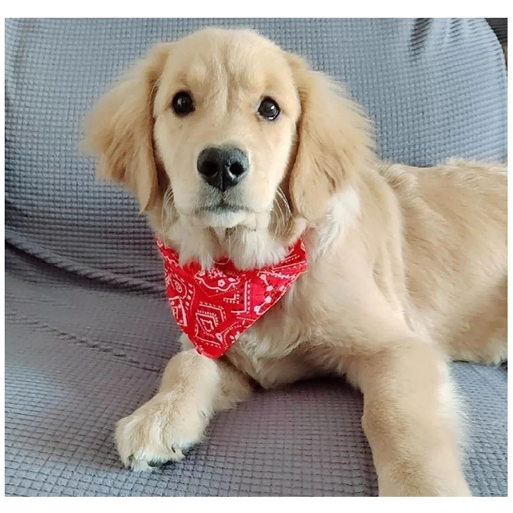 Bandana Collar Scarf