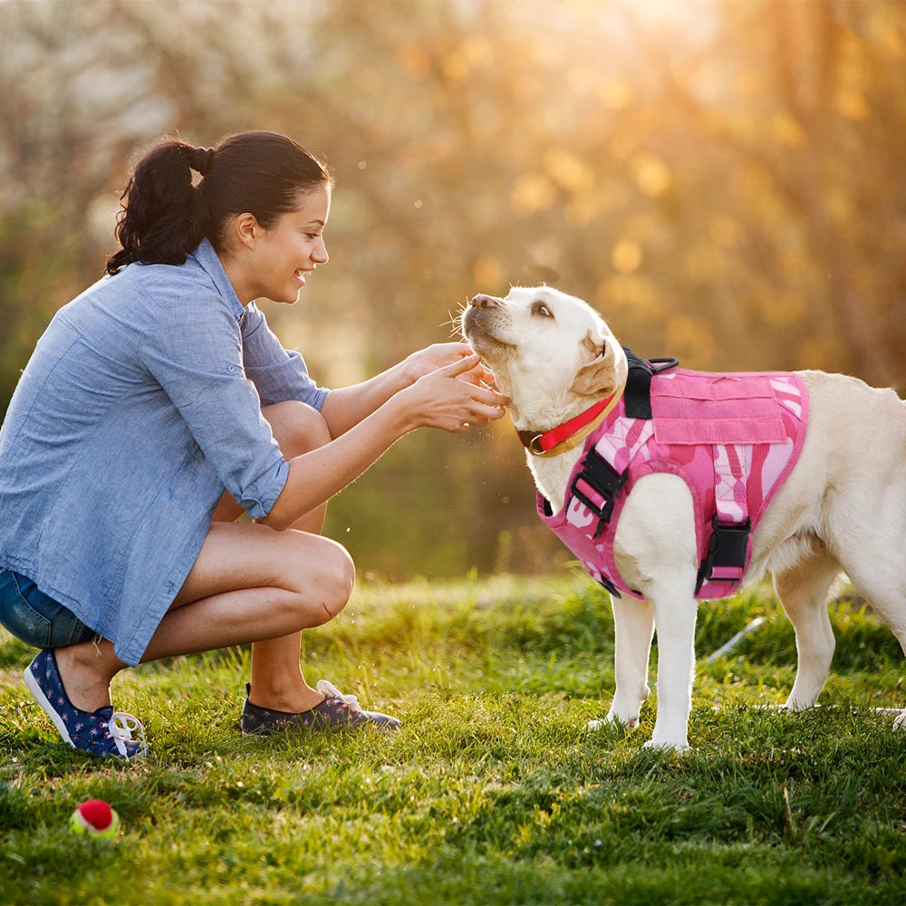 Pink Military Dog Harness And Leash Set