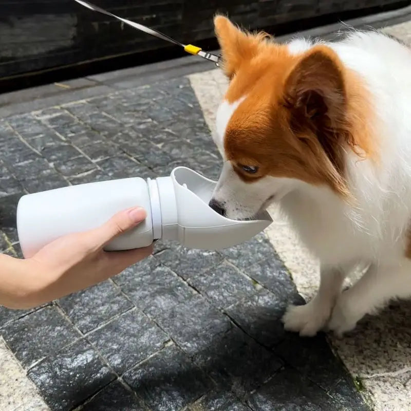 Folding portable mug