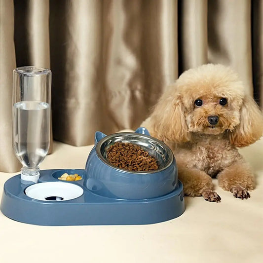 Feeder 2-in-1 Bowl Water Dispenser