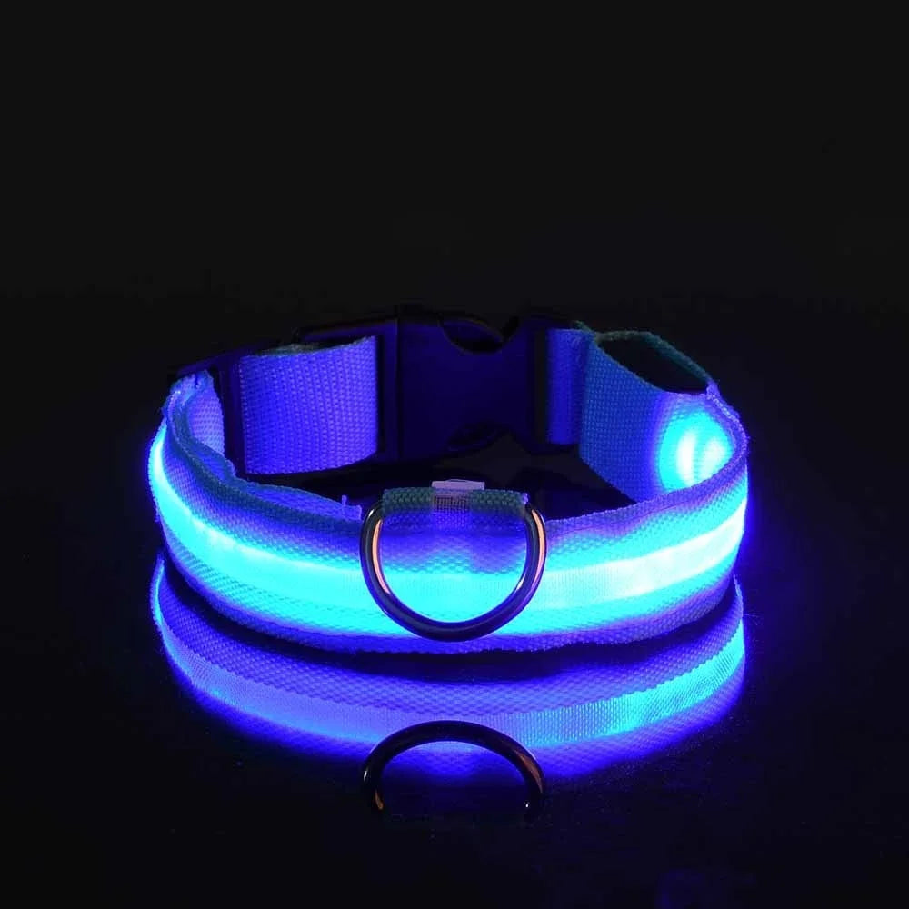 Glow In The Dark Nylon Dog Collar