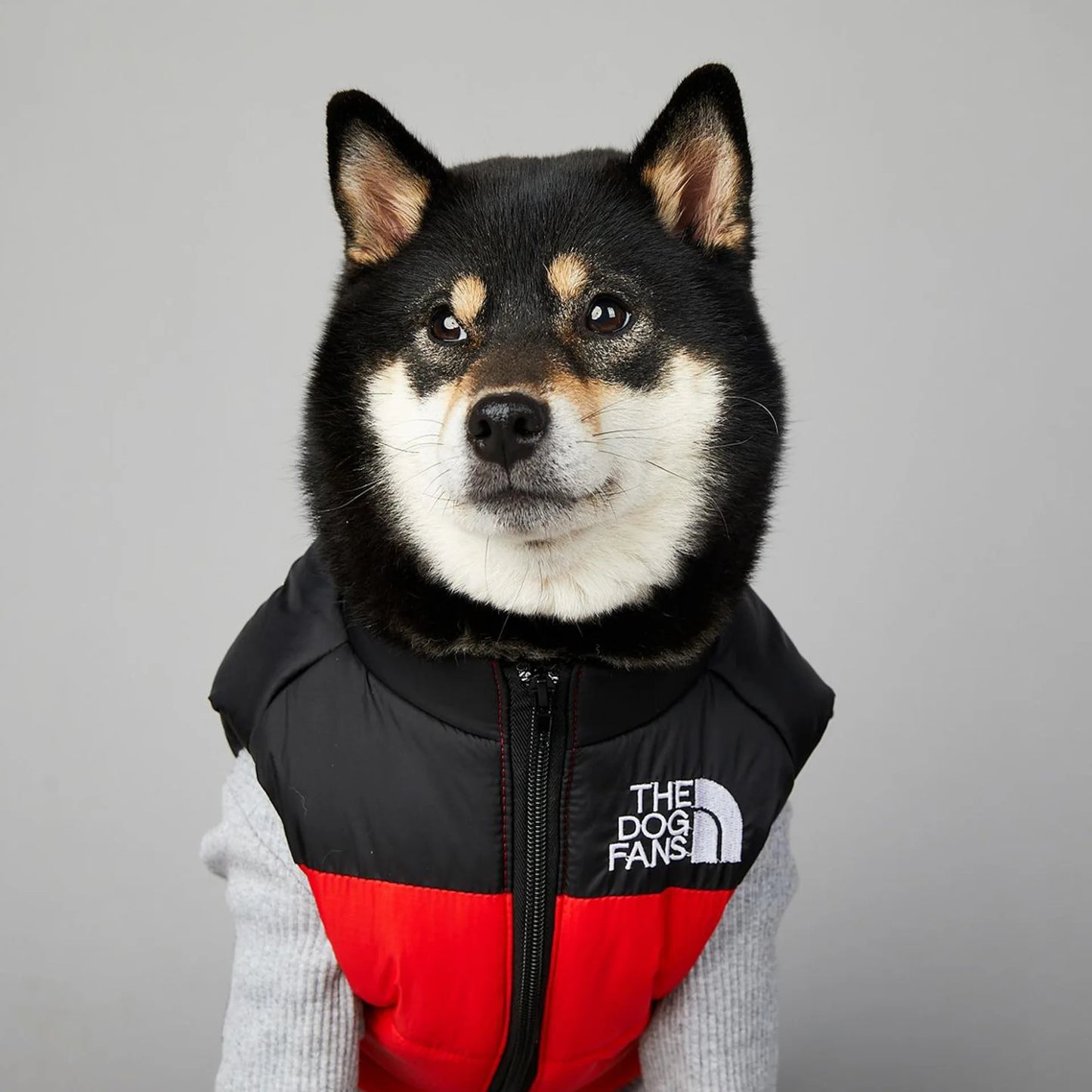 The Dog Fans Vest