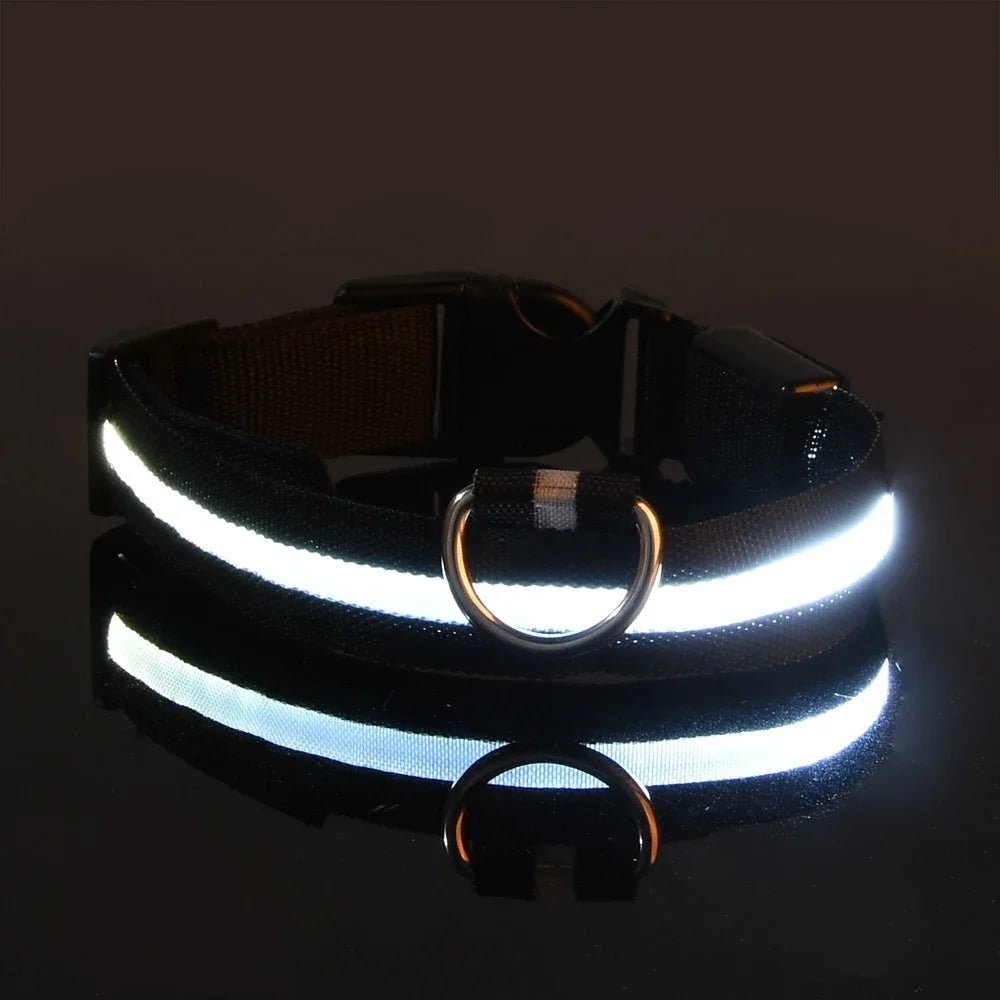 Glow In The Dark Nylon Dog Collar