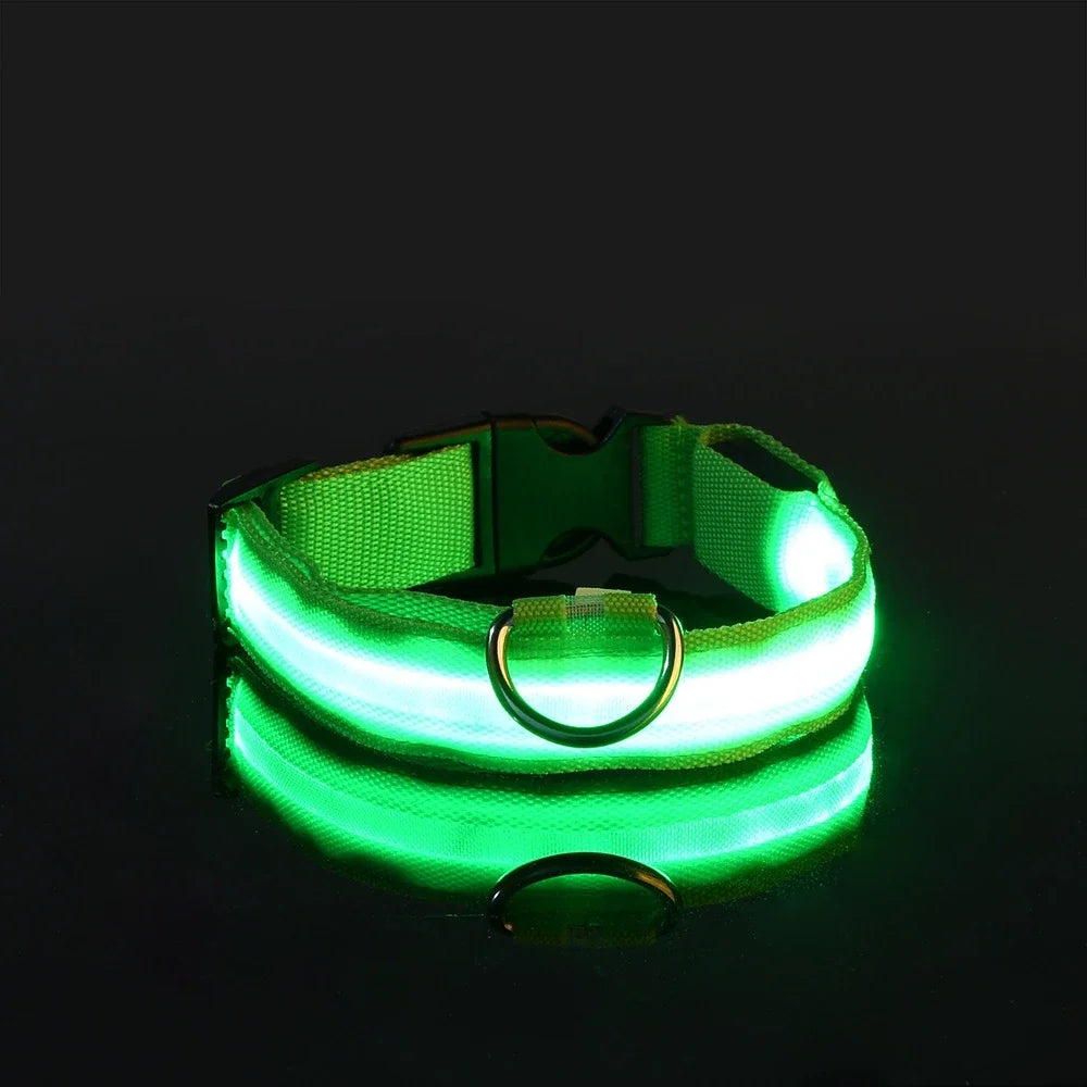 Glow In The Dark Nylon Dog Collar