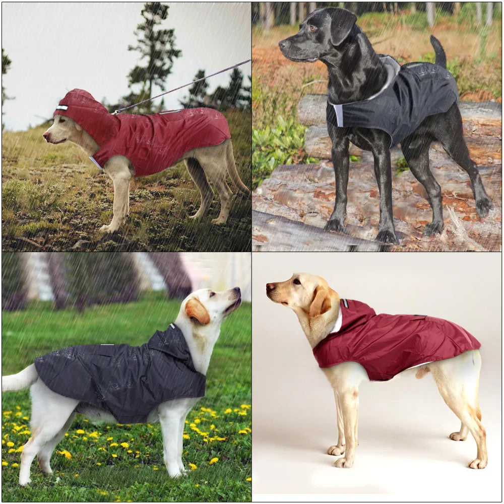 Dog Raincoat with Reflective Stripe