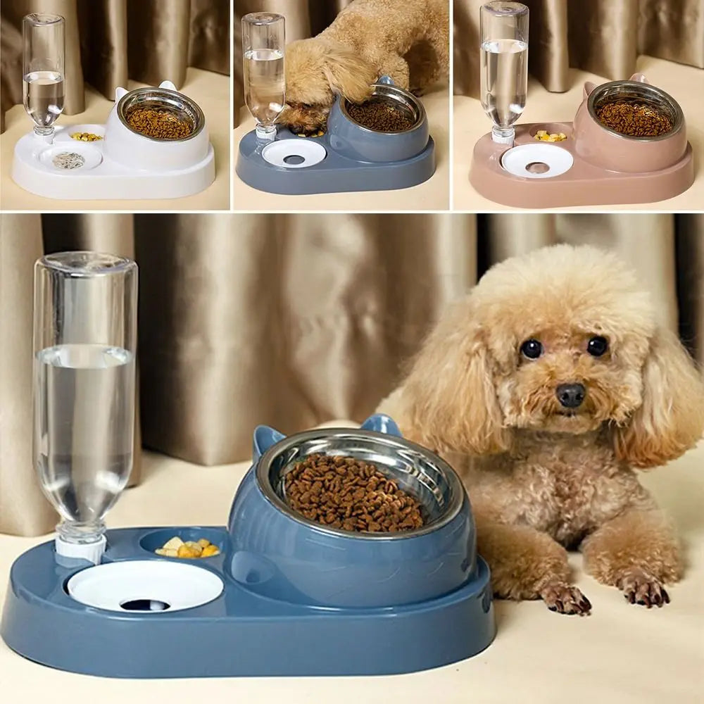 Feeder 2-in-1 Bowl Water Dispenser