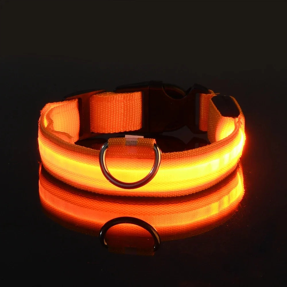 Glow In The Dark Nylon Dog Collar