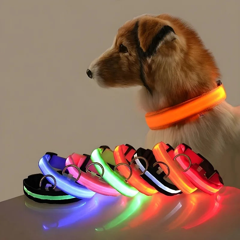 Glow In The Dark Nylon Dog Collar