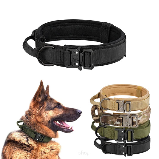 Tactical Dog Collar Metal Buckle