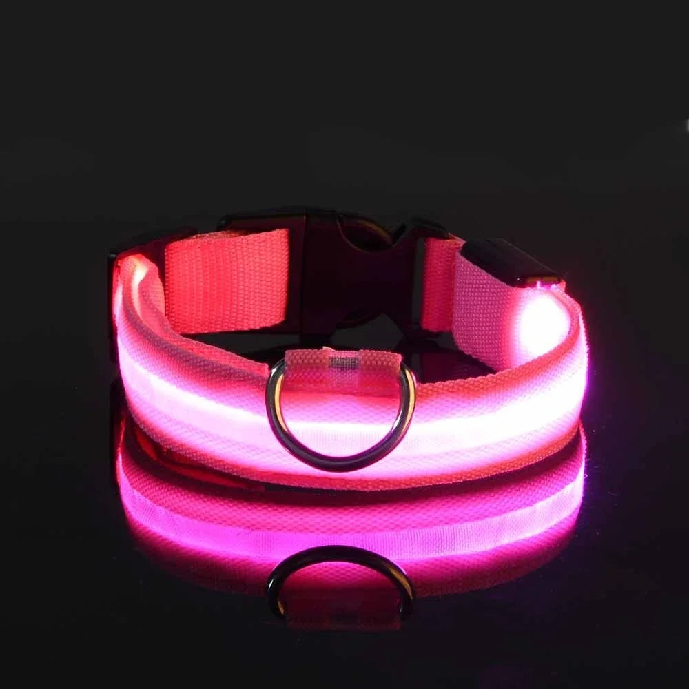 Glow In The Dark Nylon Dog Collar