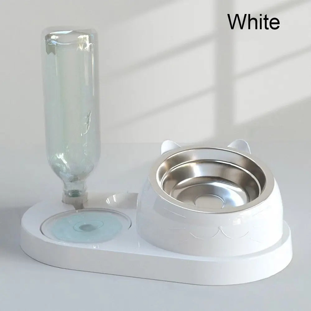 Feeder 2-in-1 Bowl Water Dispenser