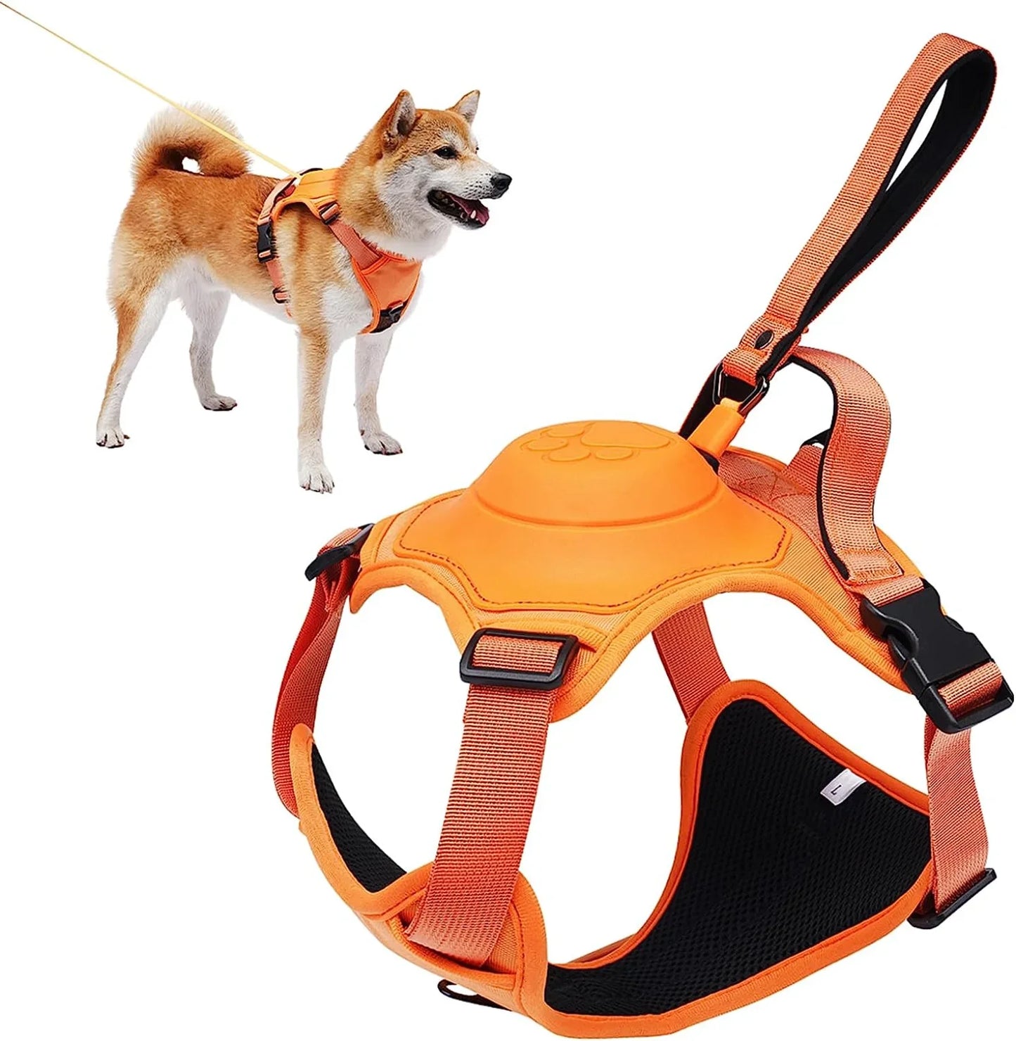 Pet Harness with Self-shrinking Leash