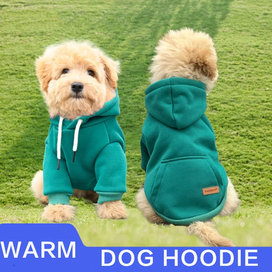 Warm hoodie sweater