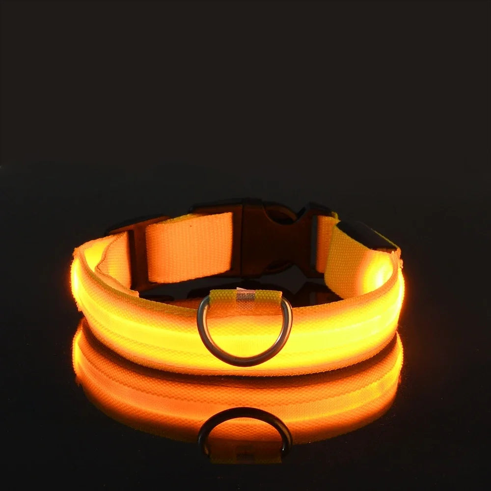 Glow In The Dark Nylon Dog Collar